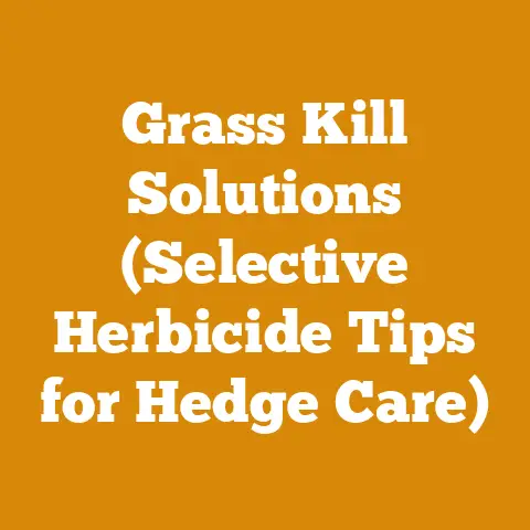 Grass Kill Solutions (Selective Herbicide Tips for Hedge Care)