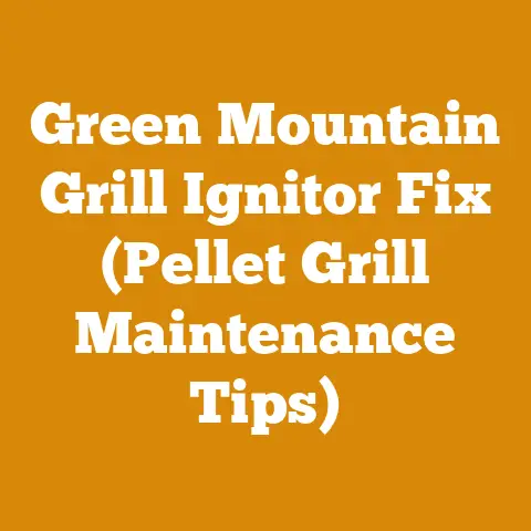 Green Mountain Grill Ignitor Fix (Pellet Grill Maintenance Tips)