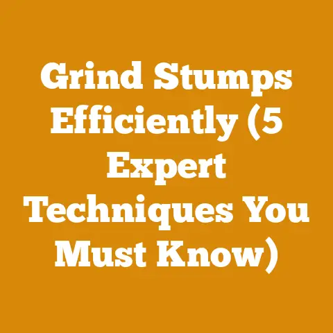 Grind Stumps Efficiently (5 Expert Techniques You Must Know)