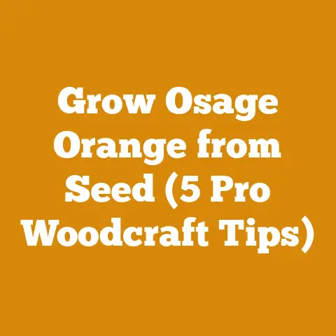 Grow Osage Orange from Seed (5 Pro Woodcraft Tips)