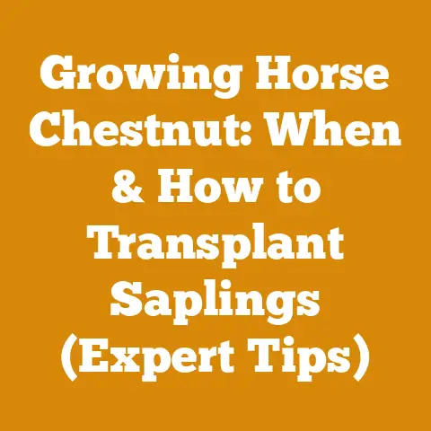 Growing Horse Chestnut: When & How to Transplant Saplings (Expert Tips)