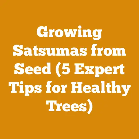 Growing Satsumas from Seed (5 Expert Tips for Healthy Trees)