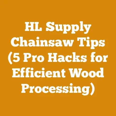 HL Supply Chainsaw Tips (5 Pro Hacks for Efficient Wood Processing)