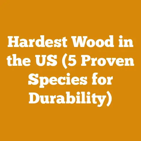 Hardest Wood in the US (5 Proven Species for Durability)