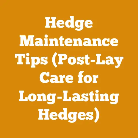 Hedge Maintenance Tips (Post-Lay Care for Long-Lasting Hedges)