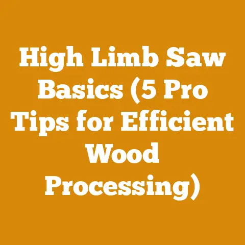 High Limb Saw Basics (5 Pro Tips for Efficient Wood Processing)
