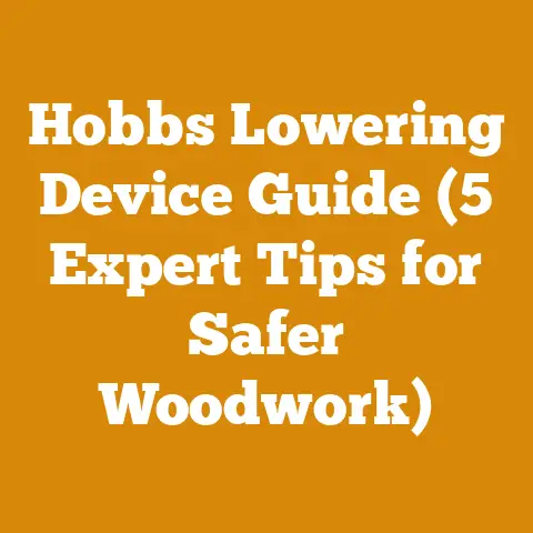 Hobbs Lowering Device Guide (5 Expert Tips for Safer Woodwork)
