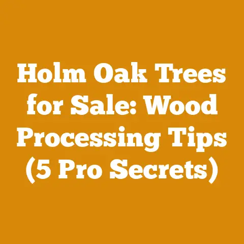 Holm Oak Trees for Sale: Wood Processing Tips (5 Pro Secrets)