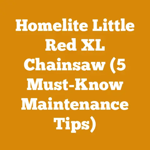Homelite Little Red XL Chainsaw (5 Must-Know Maintenance Tips)
