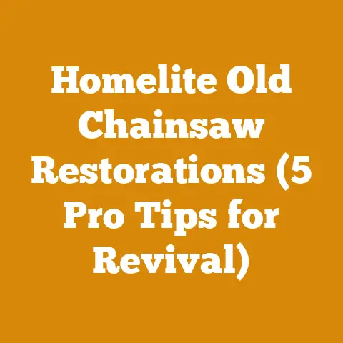 Homelite Old Chainsaw Restorations (5 Pro Tips for Revival)