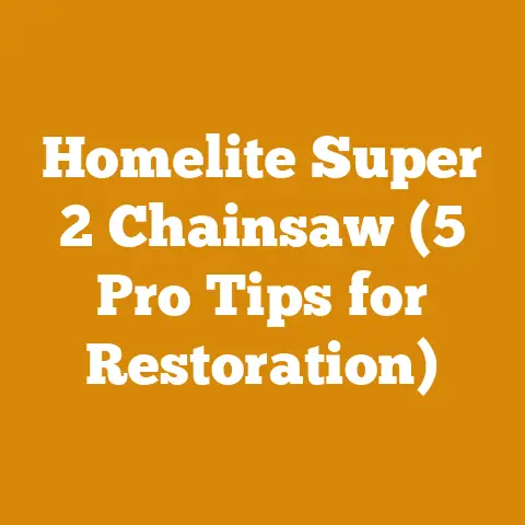 Homelite Super 2 Chainsaw (5 Pro Tips for Restoration)