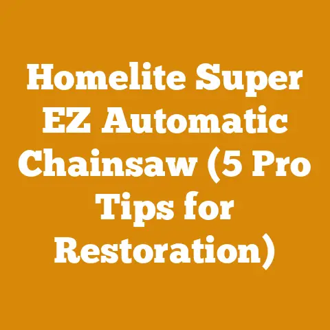 Homelite Super EZ Automatic Chainsaw (5 Pro Tips for Restoration)