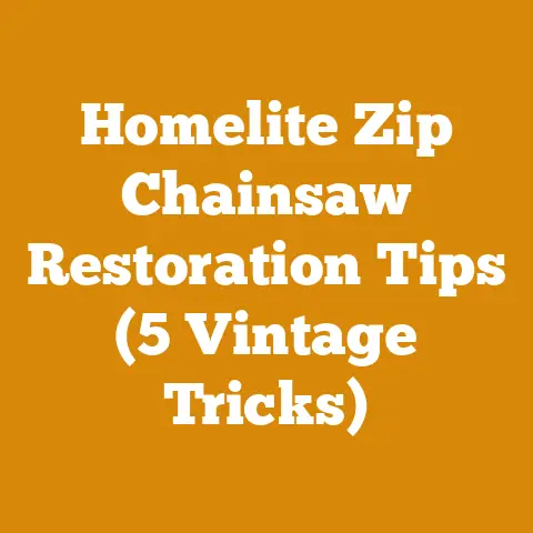 Homelite Zip Chainsaw Restoration Tips (5 Vintage Tricks)