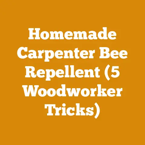 Homemade Carpenter Bee Repellent (5 Woodworker Tricks)
