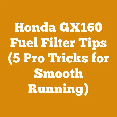 Honda GX160 Fuel Filter Tips (5 Pro Tricks for Smooth Running)