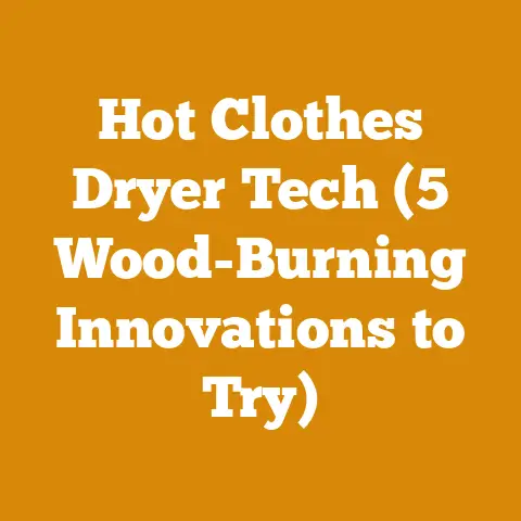 Hot Clothes Dryer Tech (5 Wood-Burning Innovations to Try)