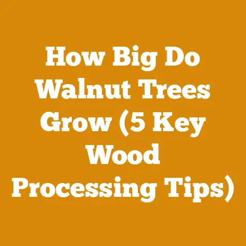 How Big Do Walnut Trees Grow (5 Key Wood Processing Tips)