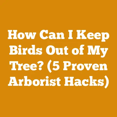 How Can I Keep Birds Out of My Tree? (5 Proven Arborist Hacks)