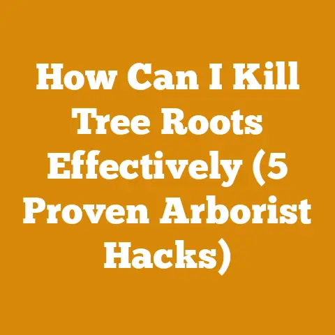 How Can I Kill Tree Roots Effectively (5 Proven Arborist Hacks)