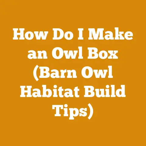 How Do I Make an Owl Box (Barn Owl Habitat Build Tips)