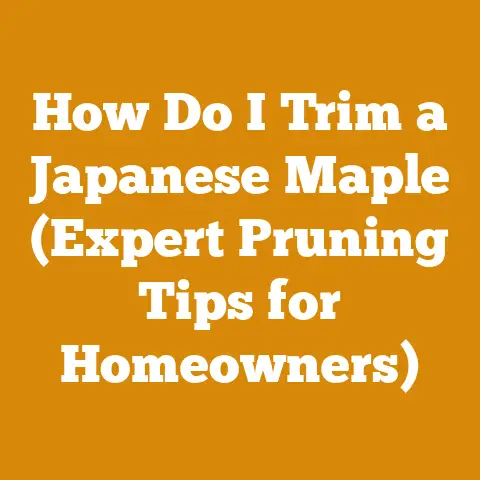 How Do I Trim a Japanese Maple (Expert Pruning Tips for Homeowners)