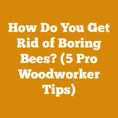 How Do You Get Rid of Boring Bees? (5 Pro Woodworker Tips)