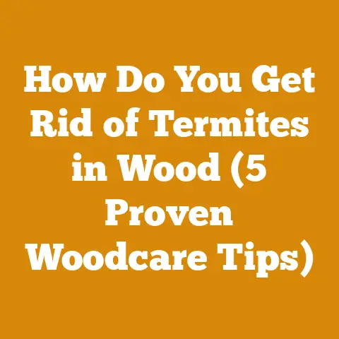 How Do You Get Rid of Termites in Wood (5 Proven Woodcare Tips)
