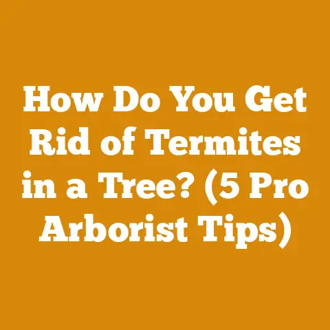 How Do You Get Rid of Termites in a Tree? (5 Pro Arborist Tips)