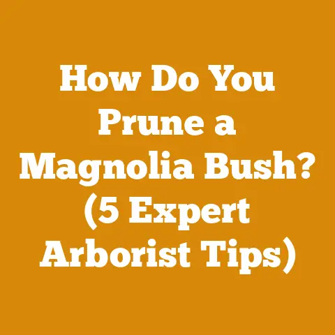 How Do You Prune a Magnolia Bush? (5 Expert Arborist Tips)