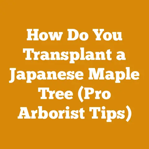 How Do You Transplant a Japanese Maple Tree (Pro Arborist Tips)