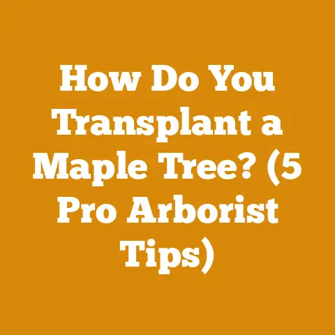 How Do You Transplant a Maple Tree? (5 Pro Arborist Tips)