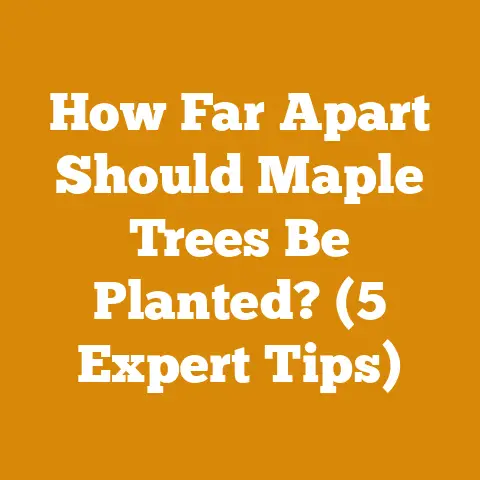 How Far Apart Should Maple Trees Be Planted? (5 Expert Tips)