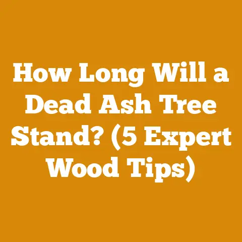 How Long Will a Dead Ash Tree Stand? (5 Expert Wood Tips)
