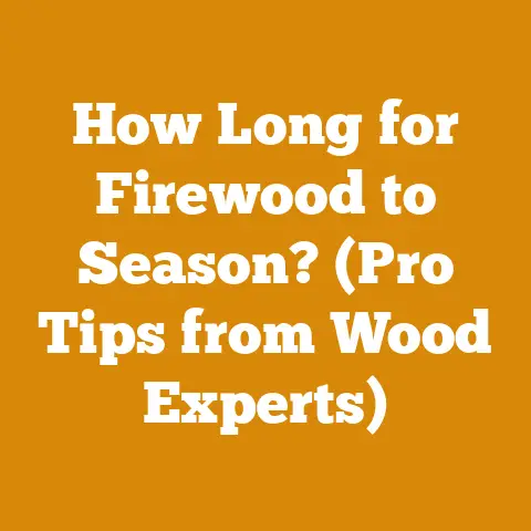 How Long for Firewood to Season? (Pro Tips from Wood Experts)