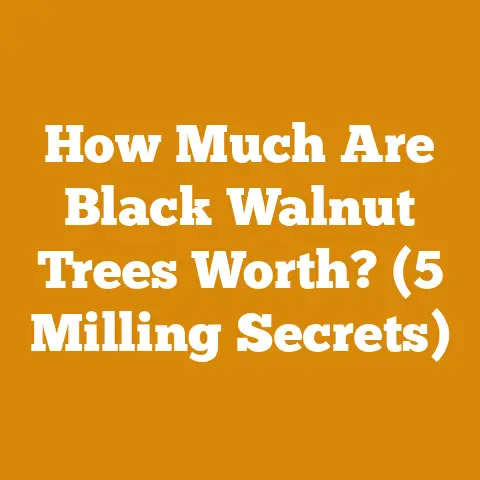 How Much Are Black Walnut Trees Worth? (5 Milling Secrets)