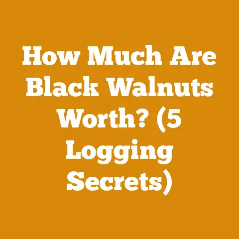 How Much Are Black Walnuts Worth? (5 Logging Secrets)