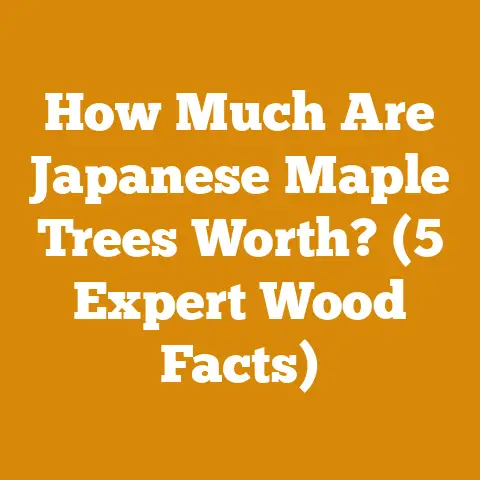 How Much Are Japanese Maple Trees Worth? (5 Expert Wood Facts)