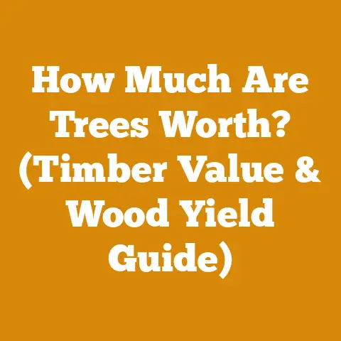 How Much Are Trees Worth? (Timber Value & Wood Yield Guide)