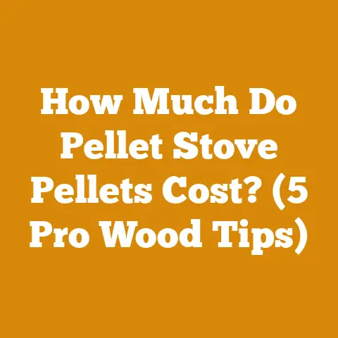 How Much Do Pellet Stove Pellets Cost? (5 Pro Wood Tips)