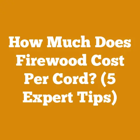How Much Does Firewood Cost Per Cord? (5 Expert Tips)