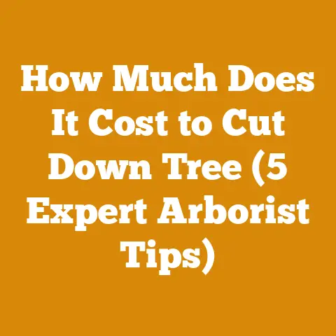 How Much Does It Cost to Cut Down Tree (5 Expert Arborist Tips)