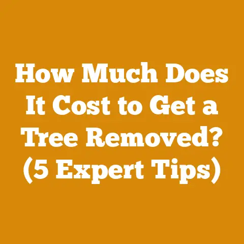 How Much Does It Cost to Get a Tree Removed? (5 Expert Tips)