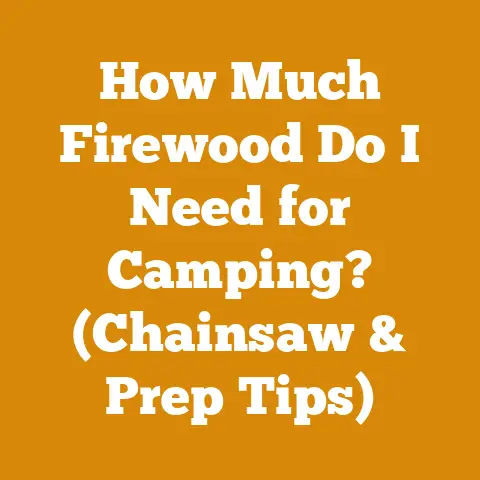 How Much Firewood Do I Need for Camping? (Chainsaw & Prep Tips)