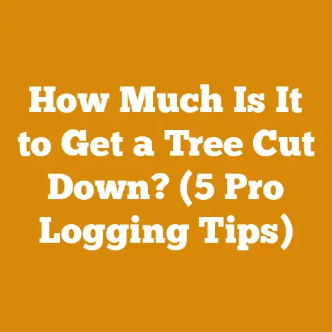How Much Is It to Get a Tree Cut Down? (5 Pro Logging Tips)