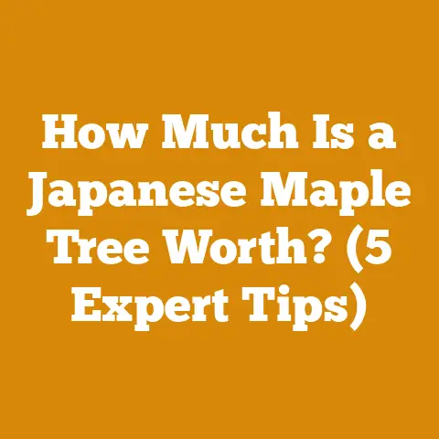 How Much Is a Japanese Maple Tree Worth? (5 Expert Tips)