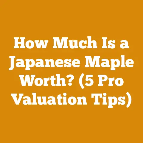 How Much Is a Japanese Maple Worth? (5 Pro Valuation Tips)