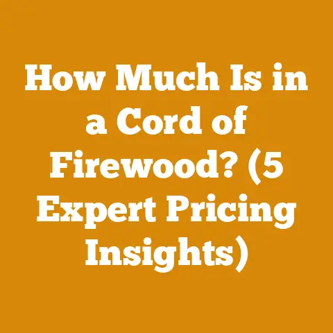 How Much Is in a Cord of Firewood? (5 Expert Pricing Insights)
