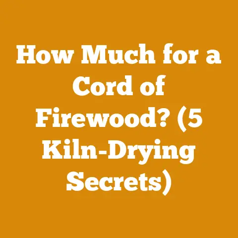 How Much for a Cord of Firewood? (5 Kiln-Drying Secrets)