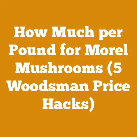 How Much per Pound for Morel Mushrooms (5 Woodsman Price Hacks)