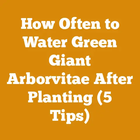 How Often to Water Green Giant Arborvitae After Planting (5 Tips)